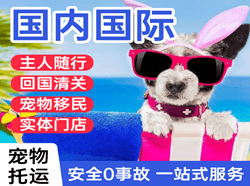屯溪航空运输国际宠物托运 【国
